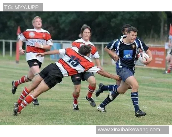 体育赛场上的尴尬瞬间与搞笑失误集锦让你捧腹大笑的爆笑时刻